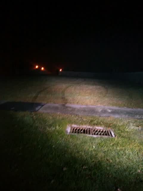 Parks, a report photo