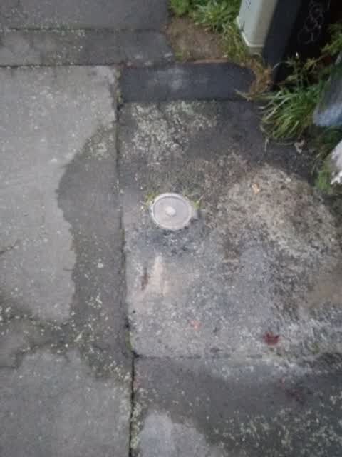Water Supply, a report photo