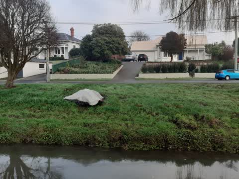 Rubbish/Recycling, a report photo