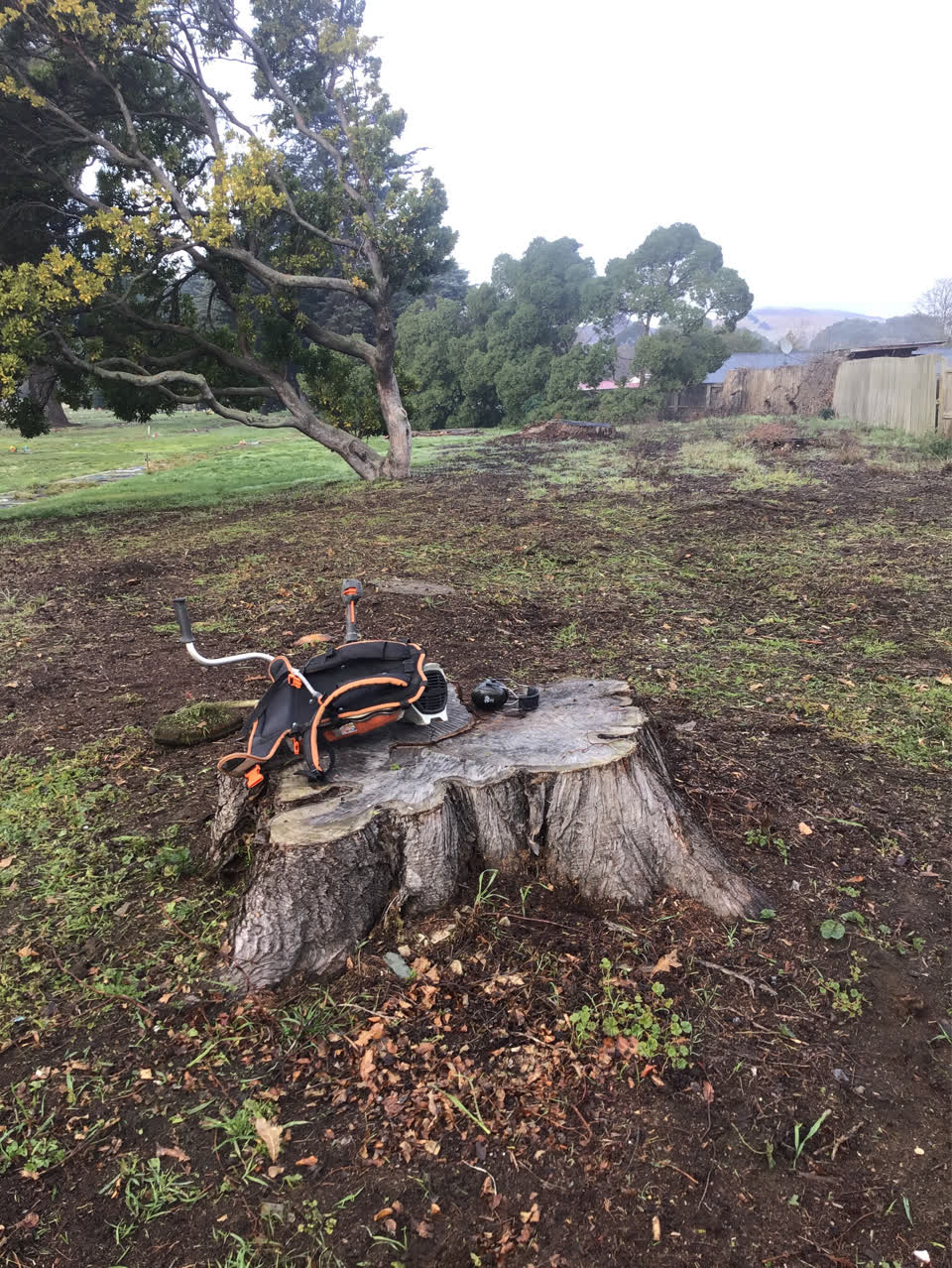 The photograph attached to this parks report