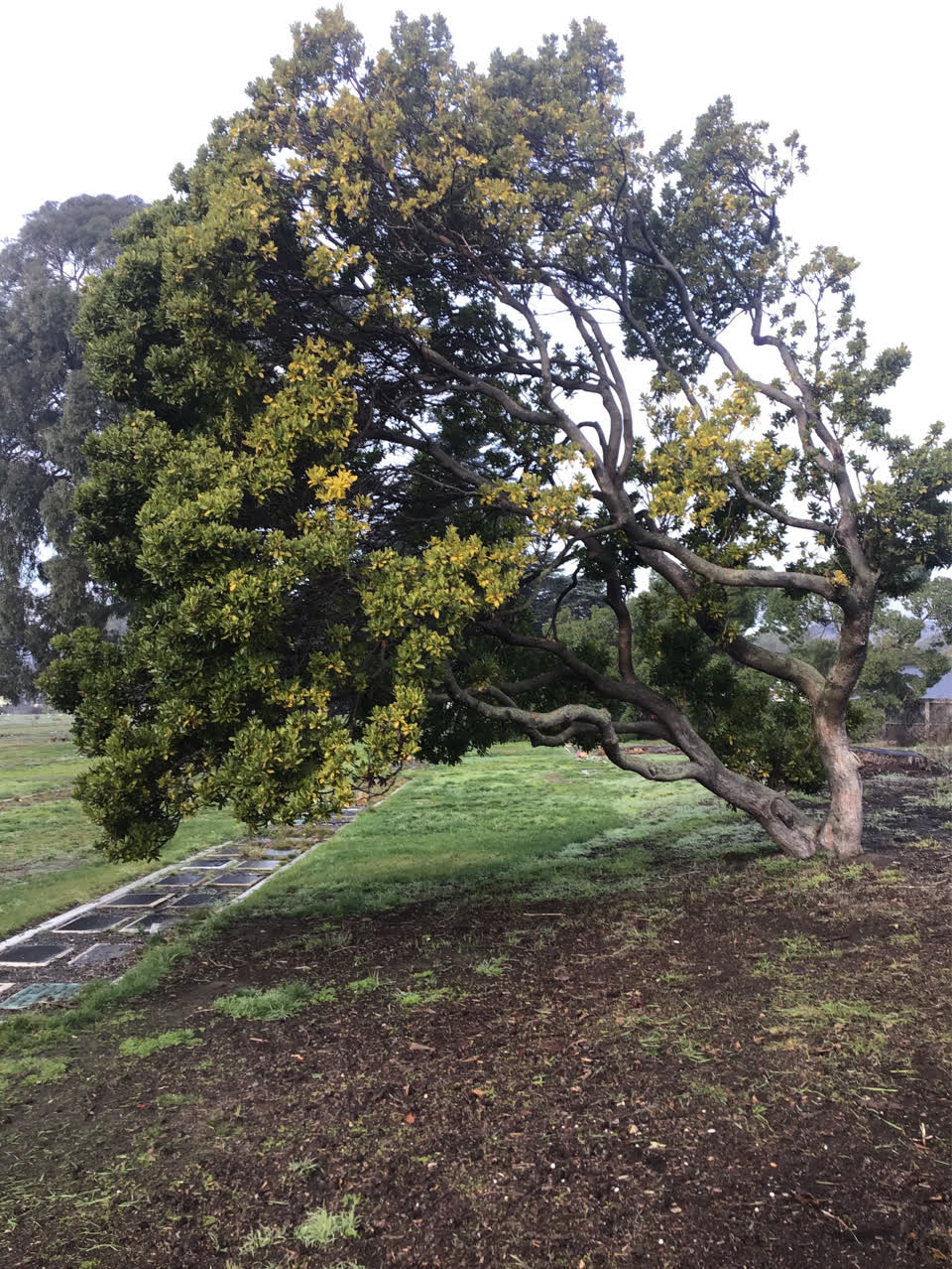 The photograph attached to this parks report