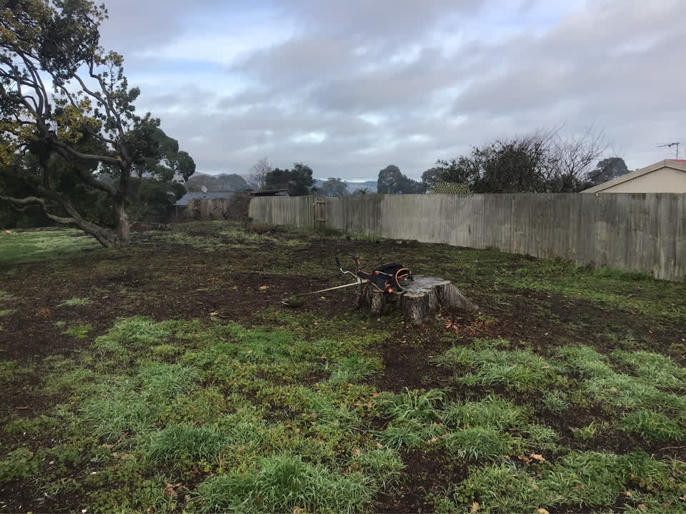The photograph attached to this parks report