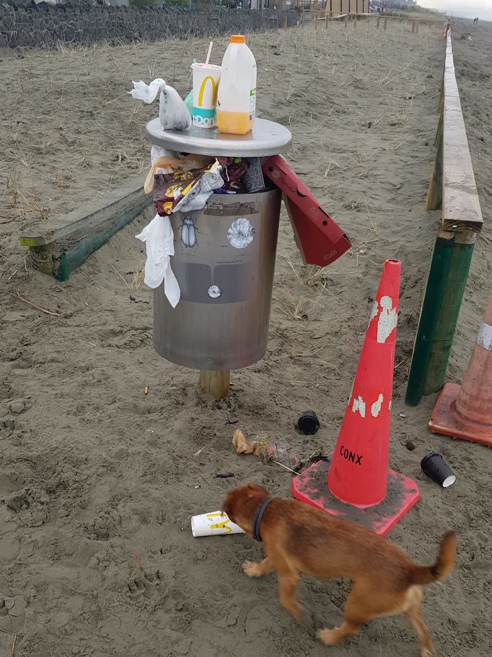 The photograph attached to this rubbish/recycling report
