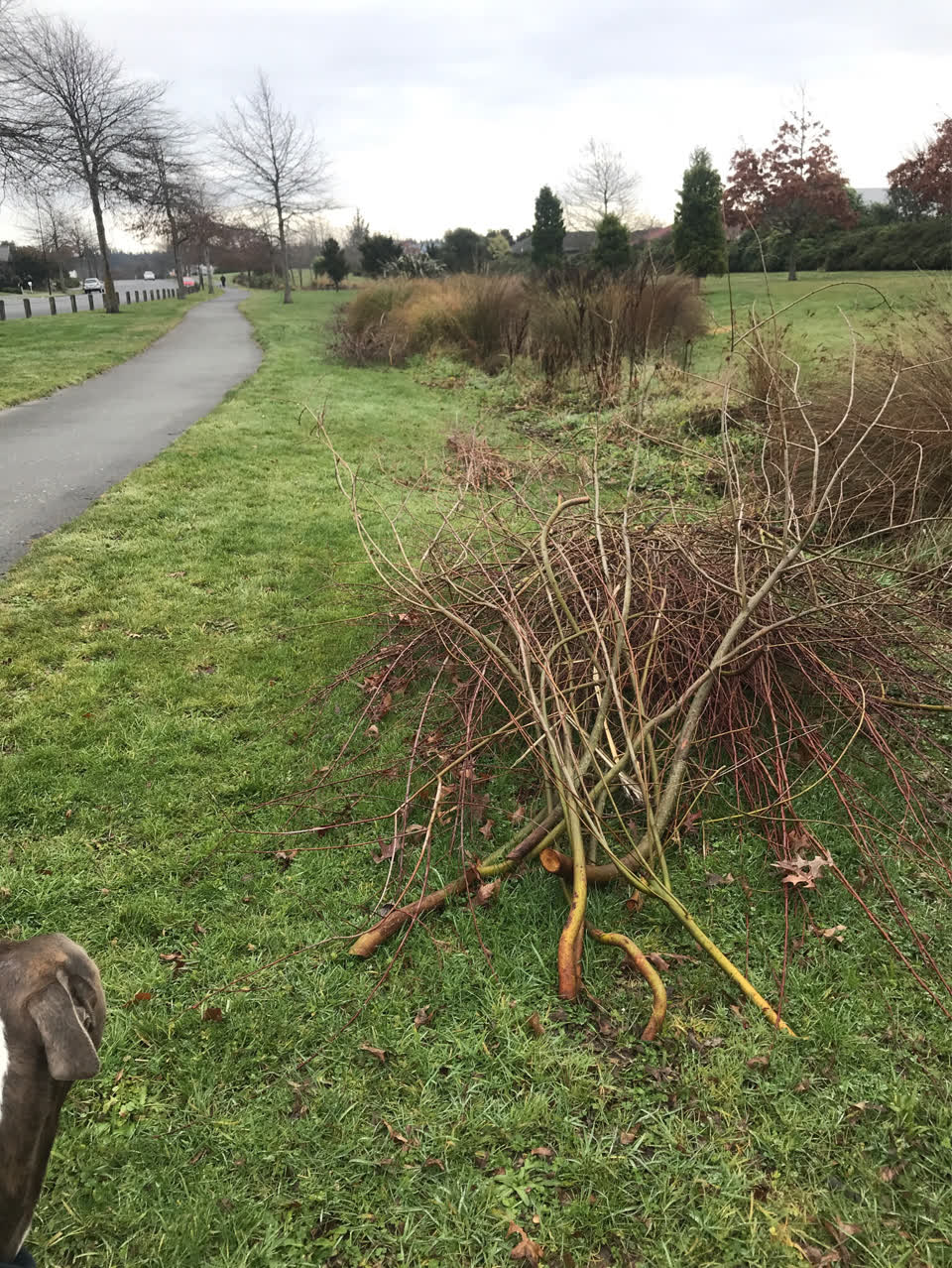 The photograph attached to this parks report