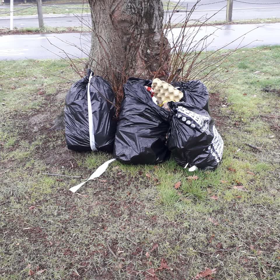 The photograph attached to this rubbish/recycling report