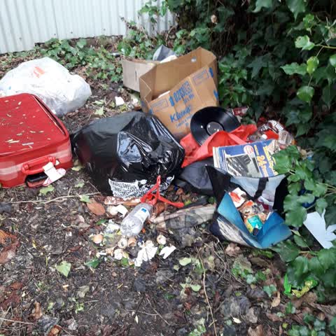 Parks, a report photo