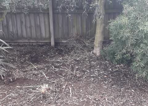 Parks, a report photo