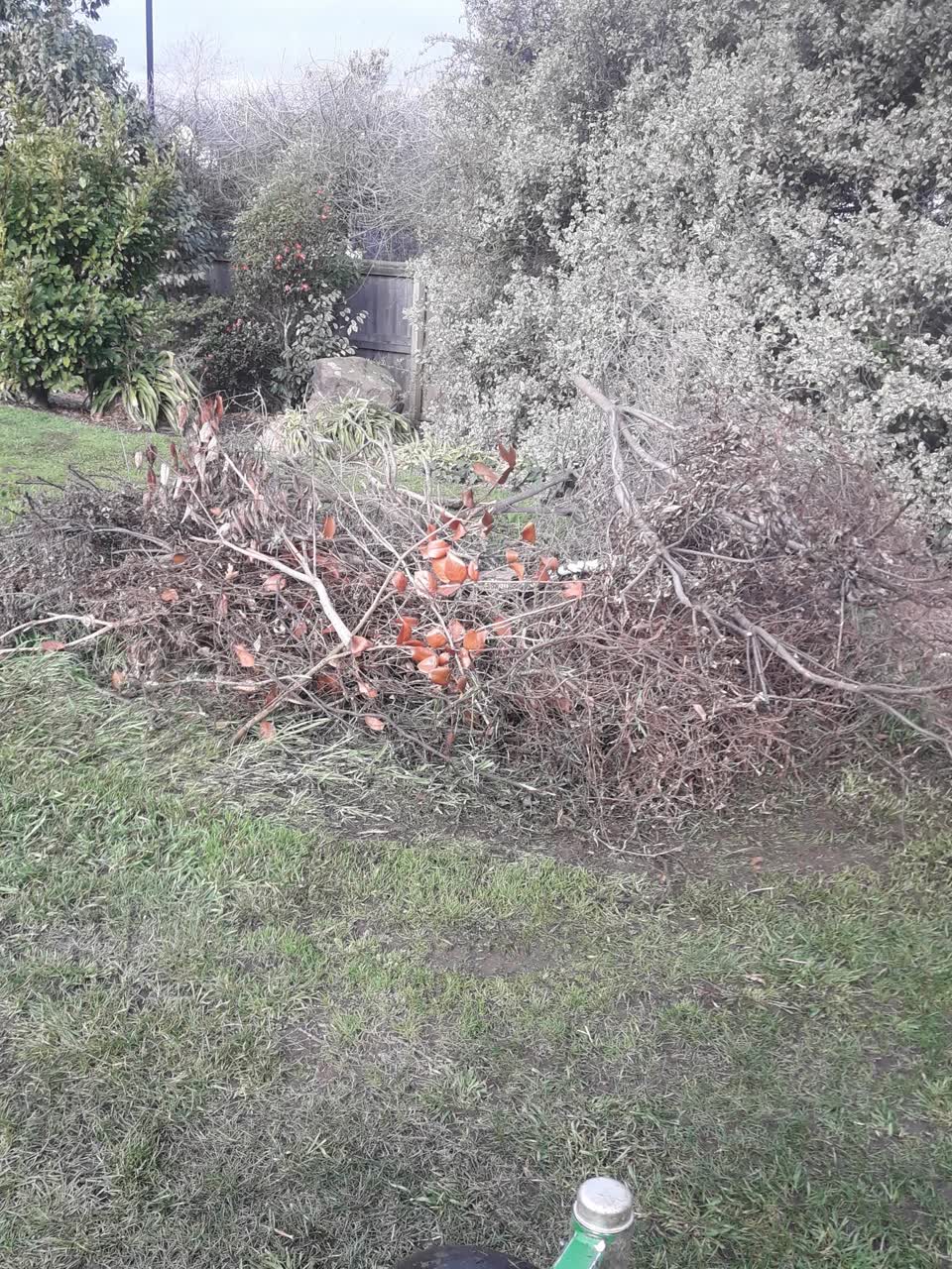 The photograph attached to this parks report