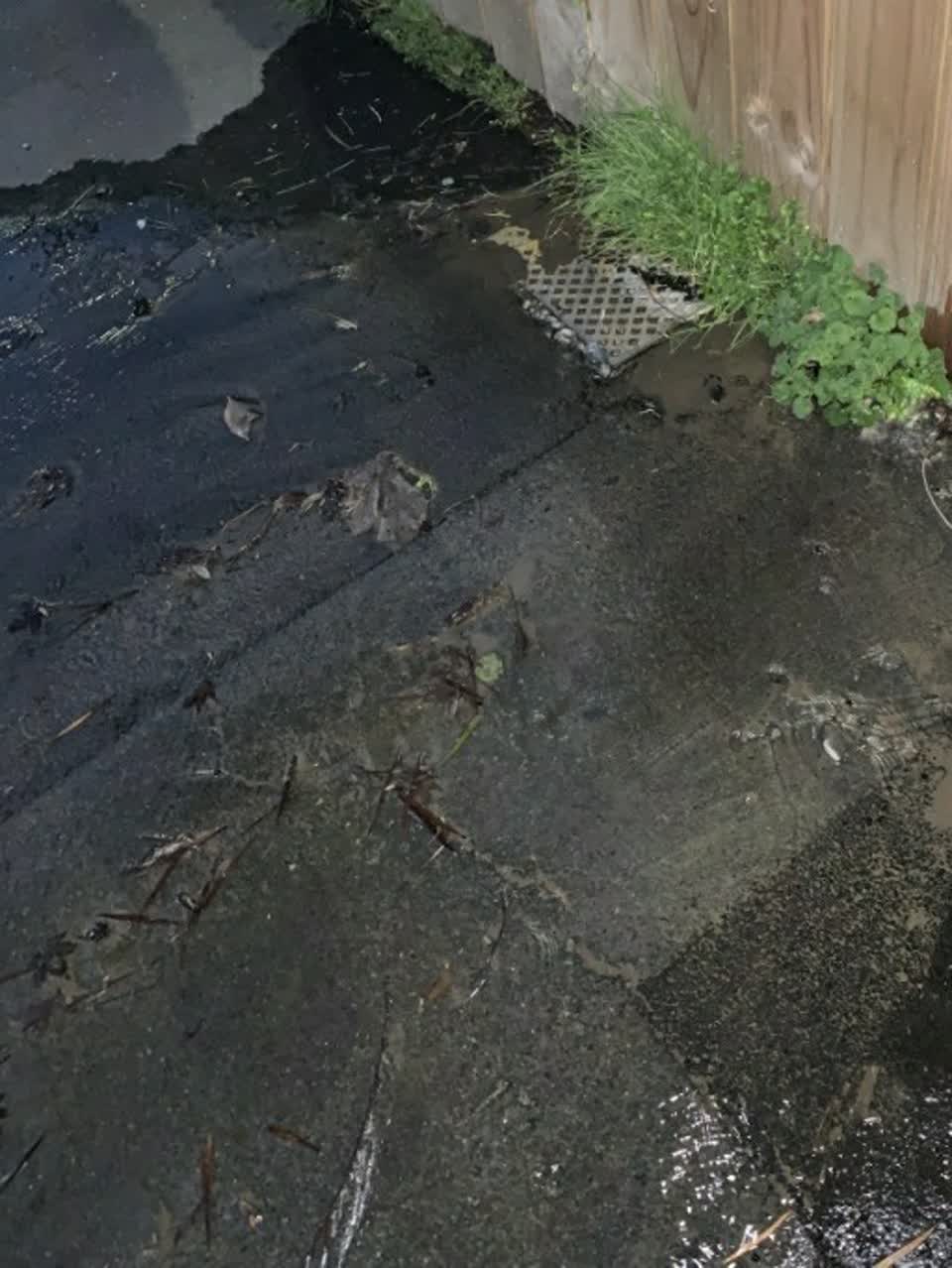 The photograph attached to this water supply report