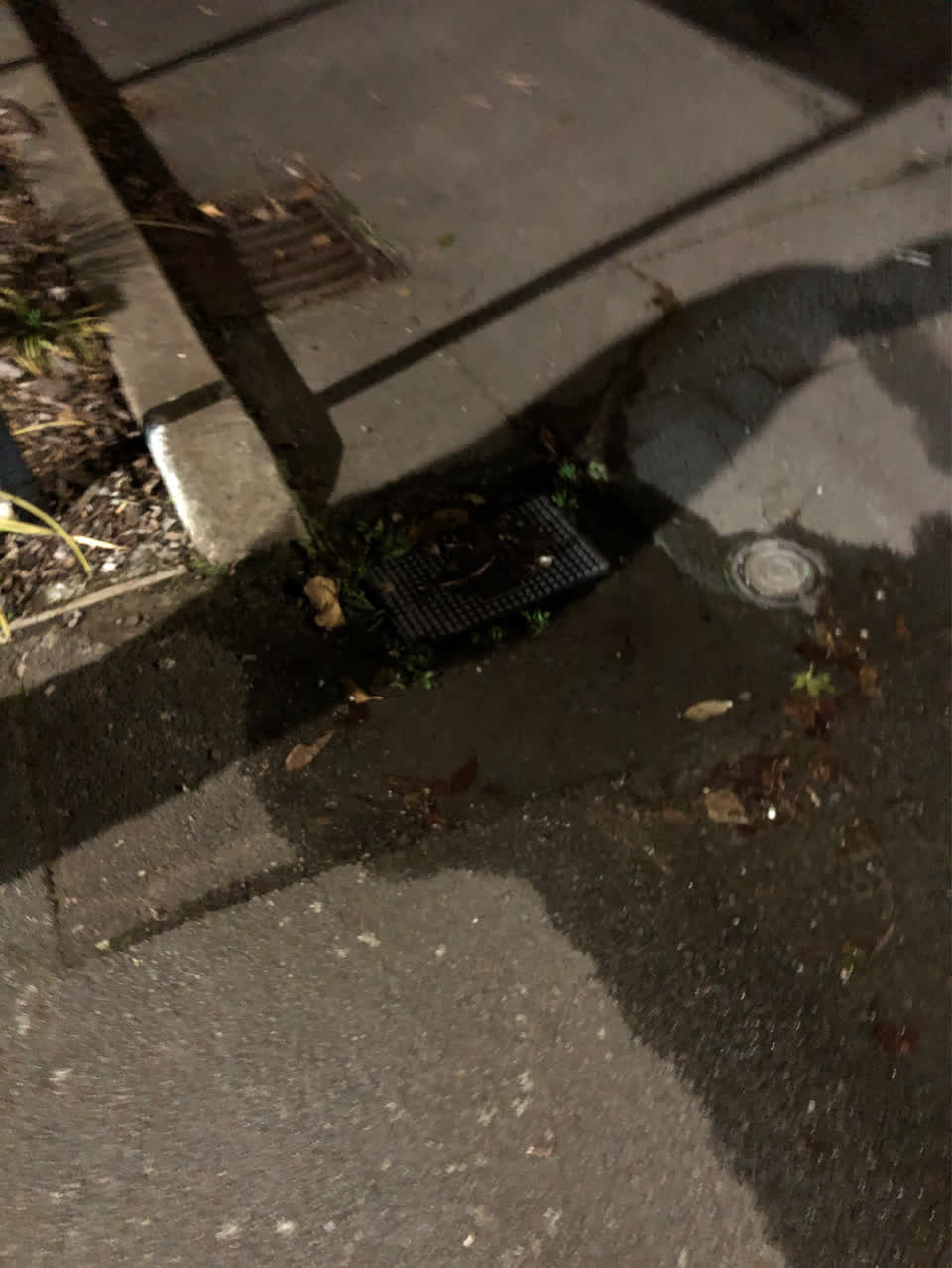 The photograph attached to this water supply report