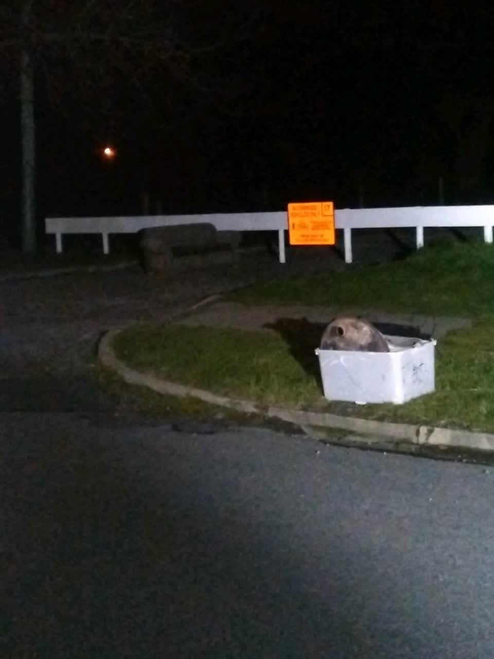 The photograph attached to this rubbish/recycling report