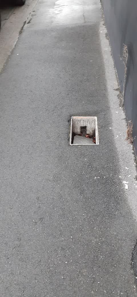 Roading/Streets, a report photo