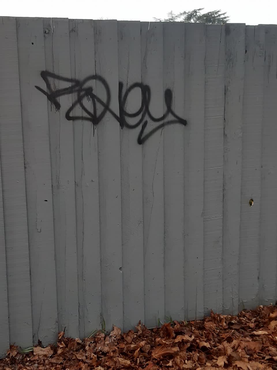 The photograph attached to this graffiti report