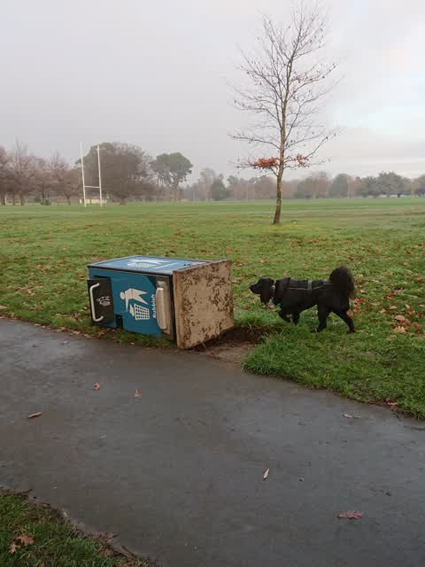 Parks — a report photo