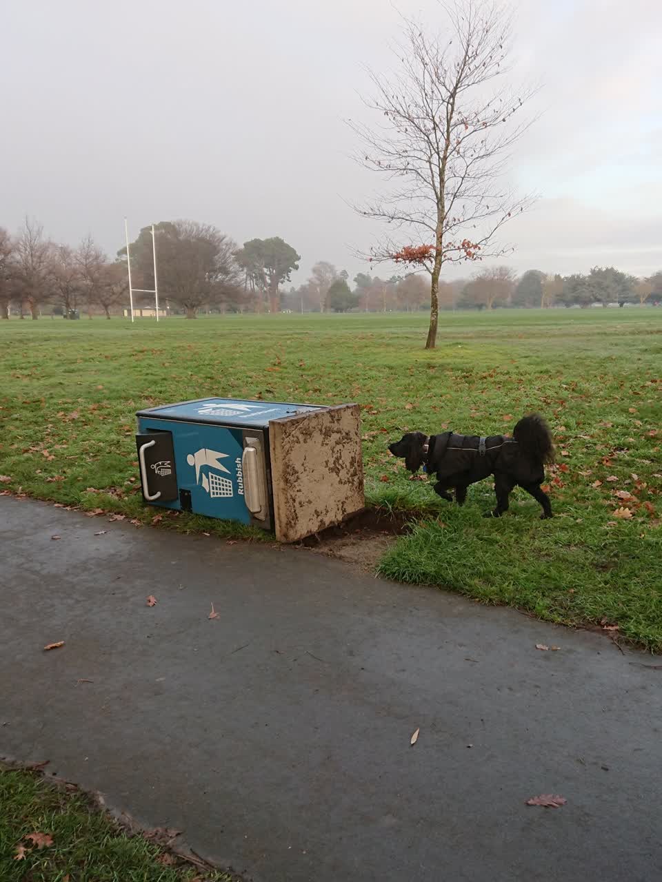The photograph attached to this parks report