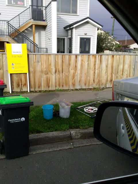 Rubbish/Recycling, a report photo