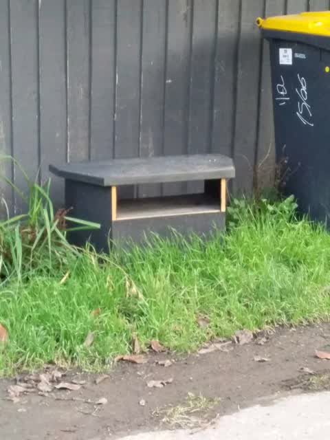 Rubbish/Recycling, a report photo