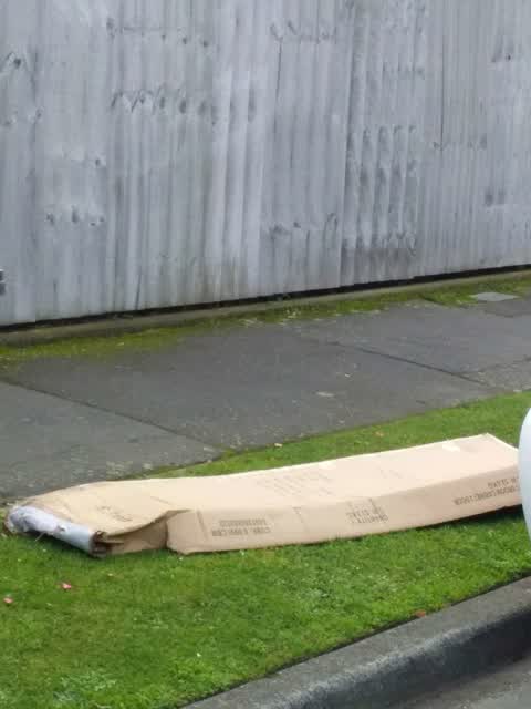 Rubbish/Recycling, a report photo