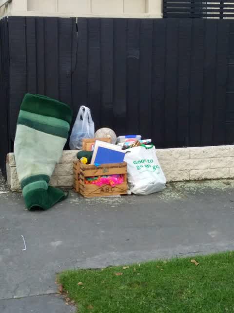 Rubbish/Recycling — a report photo