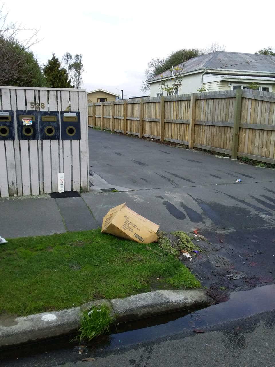 The photograph attached to this rubbish/recycling report