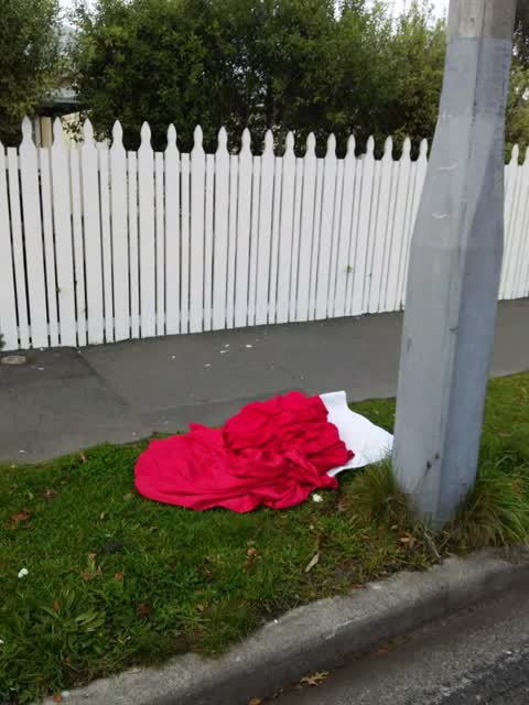 Rubbish/Recycling, a report photo