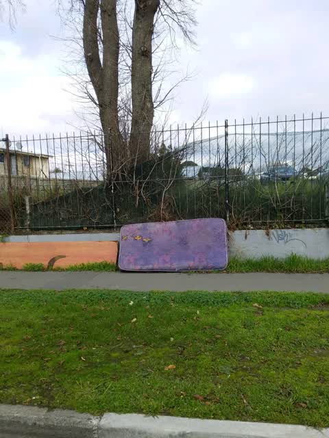 Rubbish/Recycling, a report photo