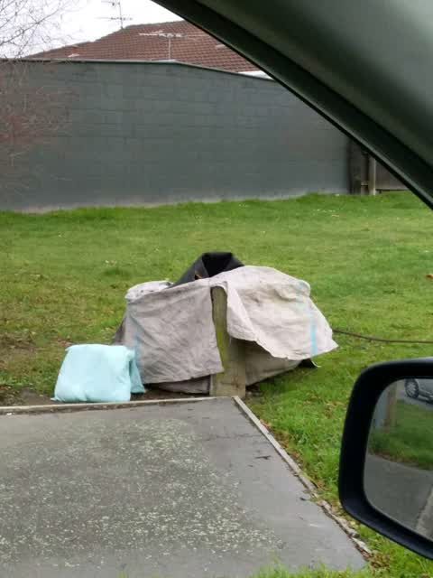 Rubbish/Recycling, a report photo