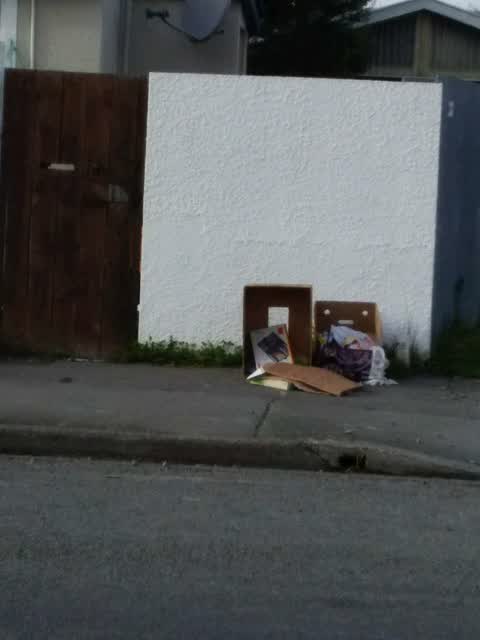 Rubbish/Recycling, a report photo