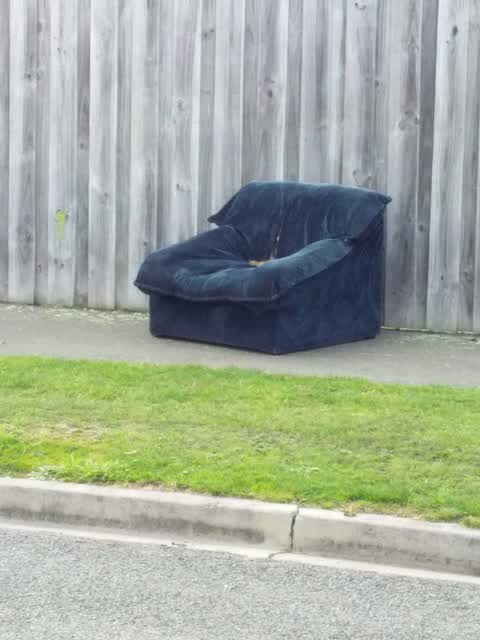 Rubbish/Recycling, a report photo