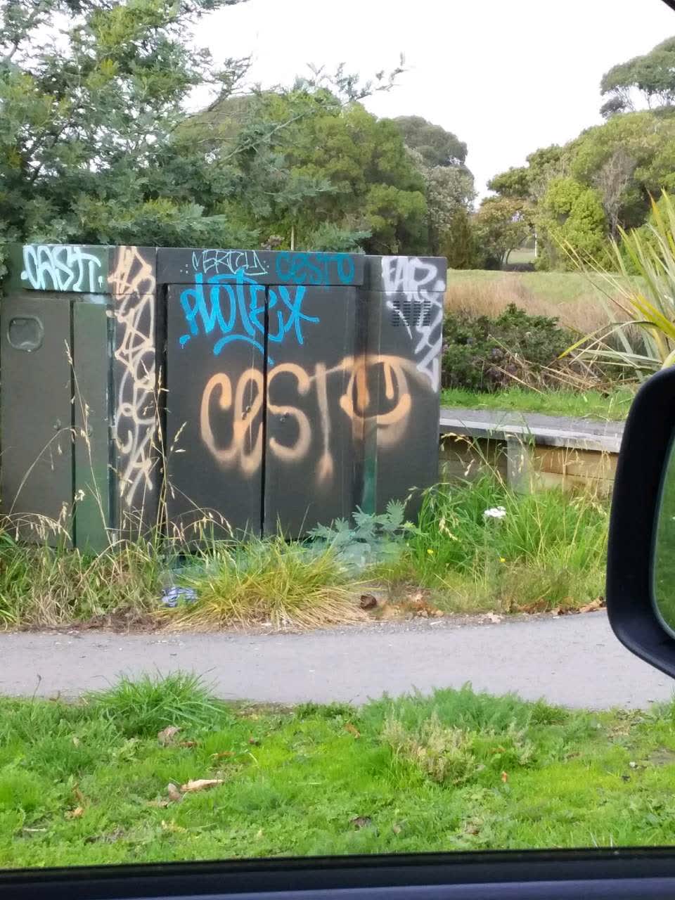 The photograph attached to this graffiti report