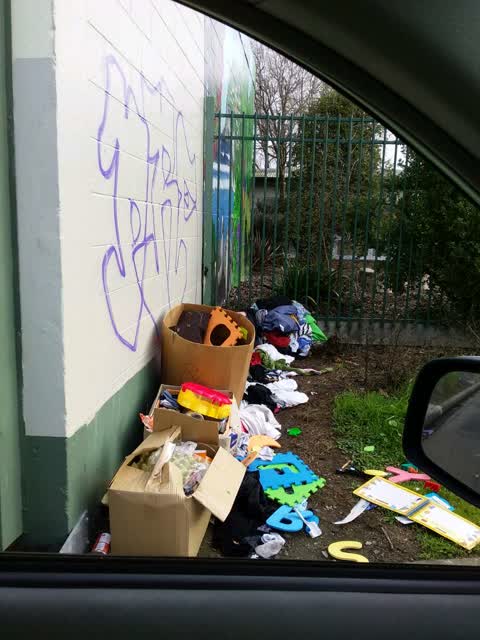 Rubbish/Recycling — a report photo