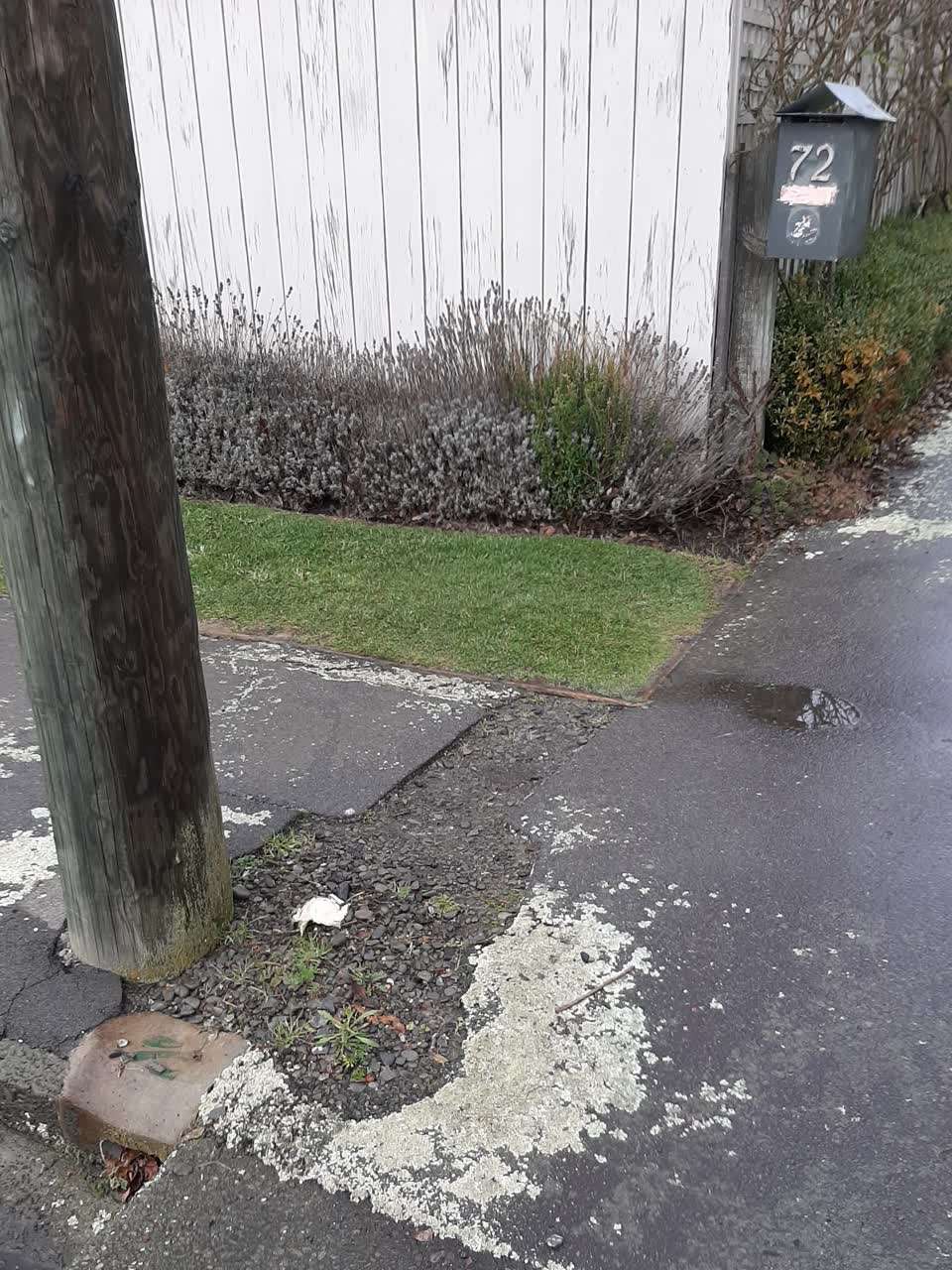 The photograph attached to this roading/streets report