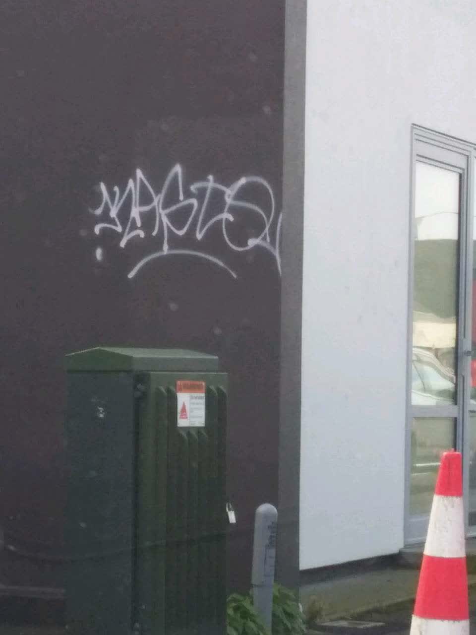 The photograph attached to this graffiti report