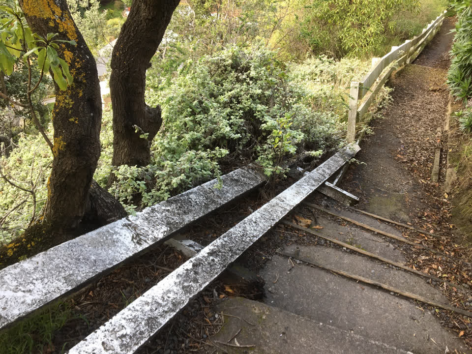 The photograph attached to this parks report