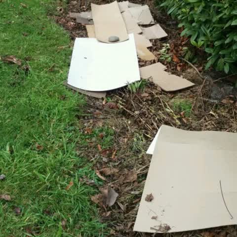 Rubbish/Recycling, a report photo