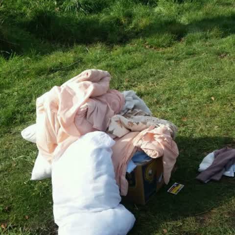 Rubbish/Recycling, a report photo