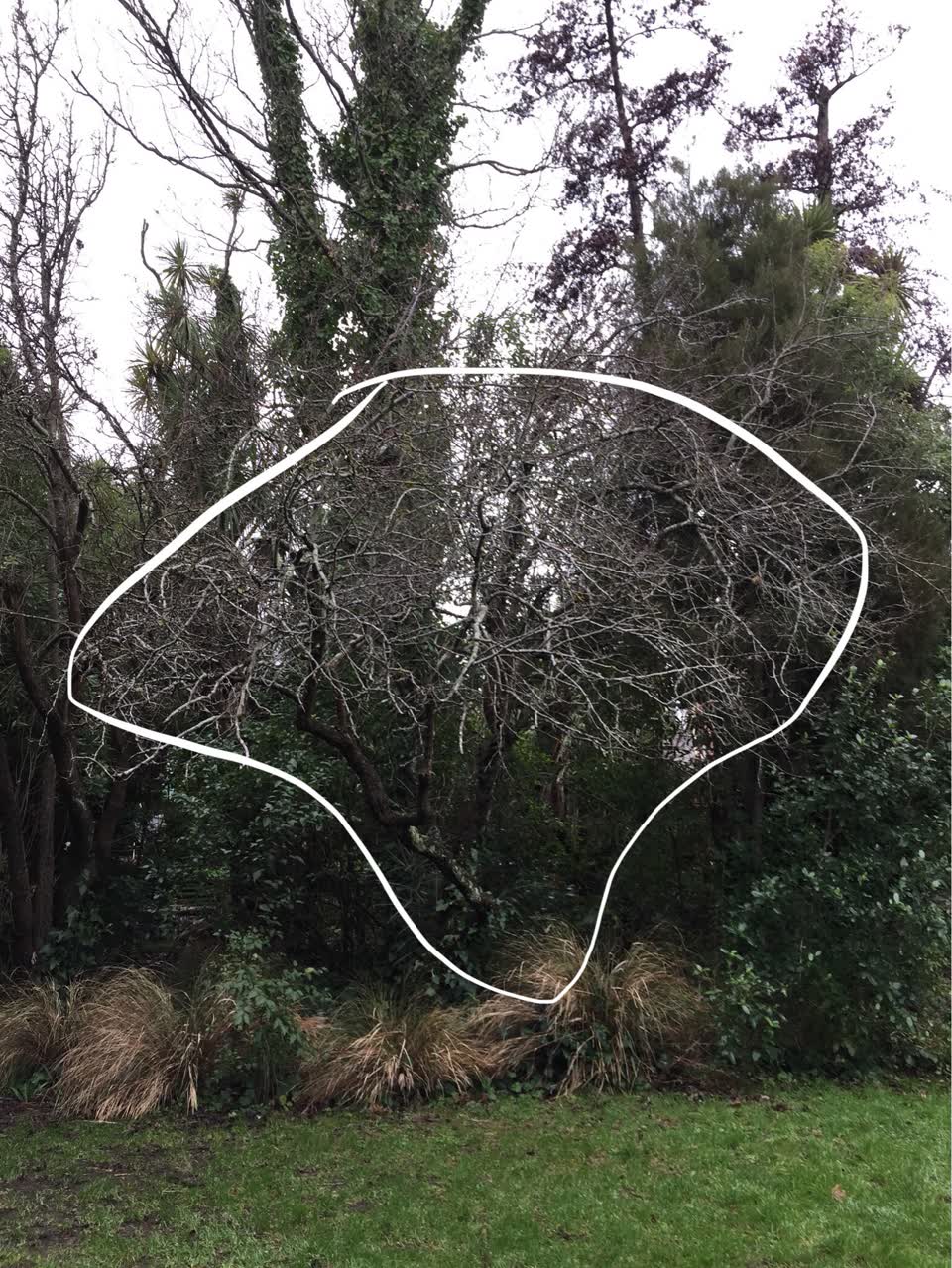 The photograph attached to this parks report