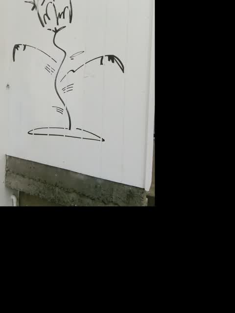 Graffiti, a report photo