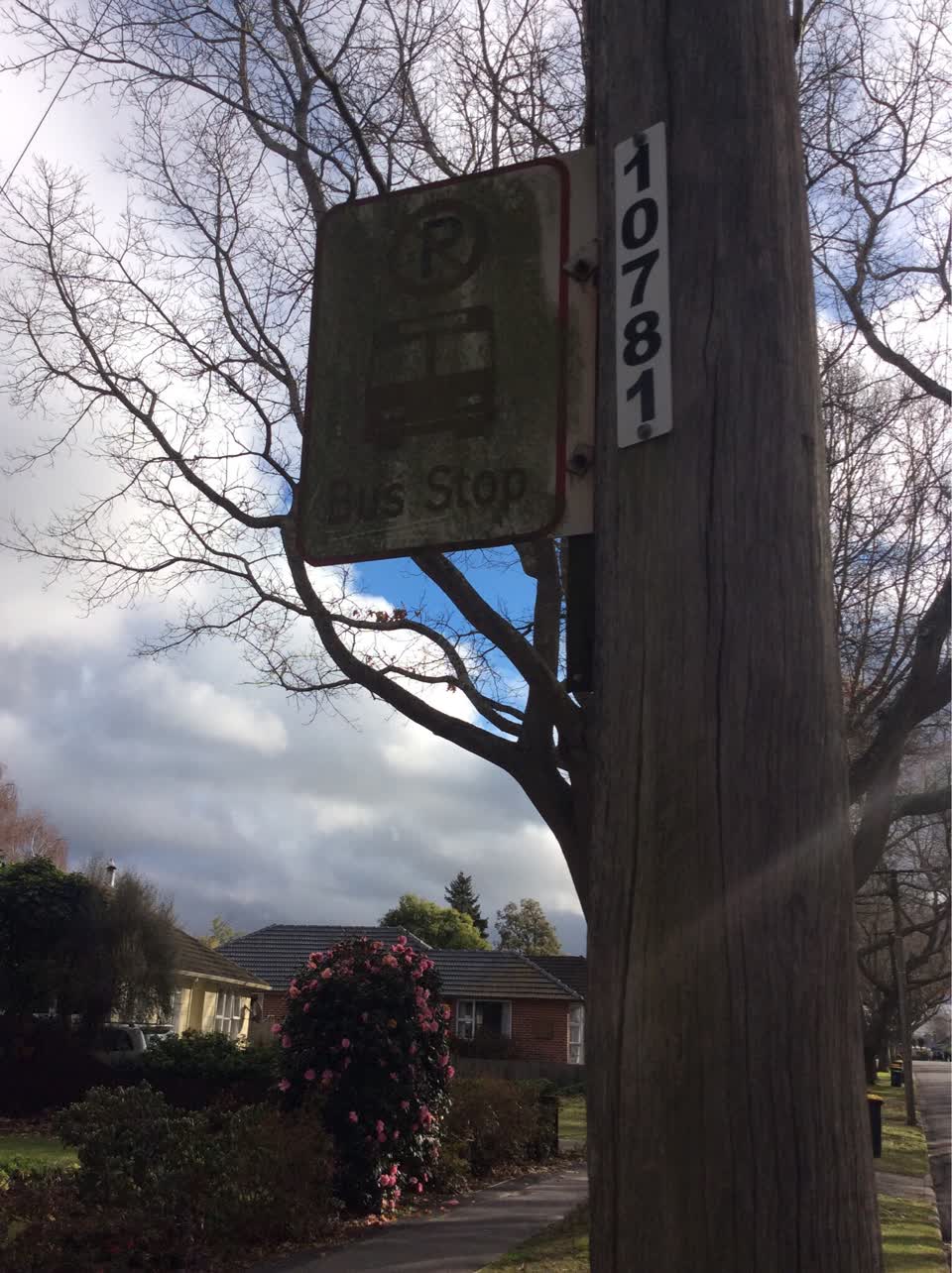 The photograph attached to this roading/streets report