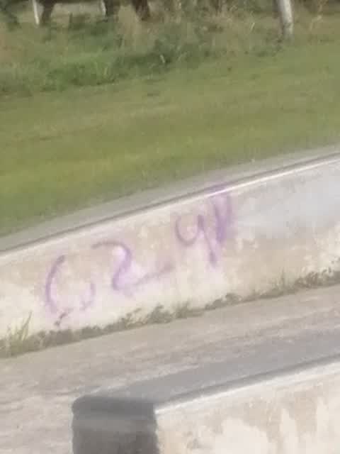 Graffiti — a report photo