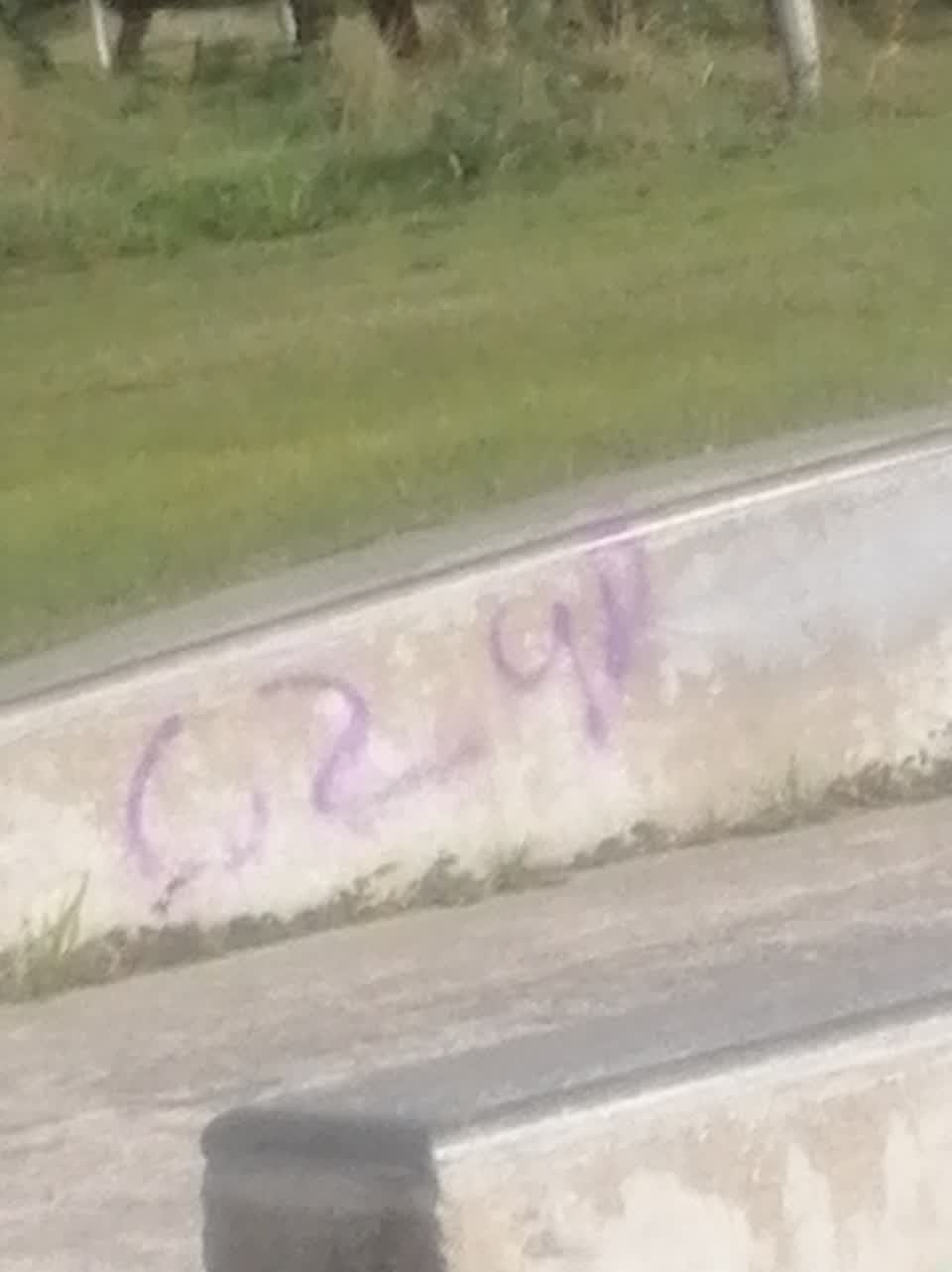 The photograph attached to this graffiti report