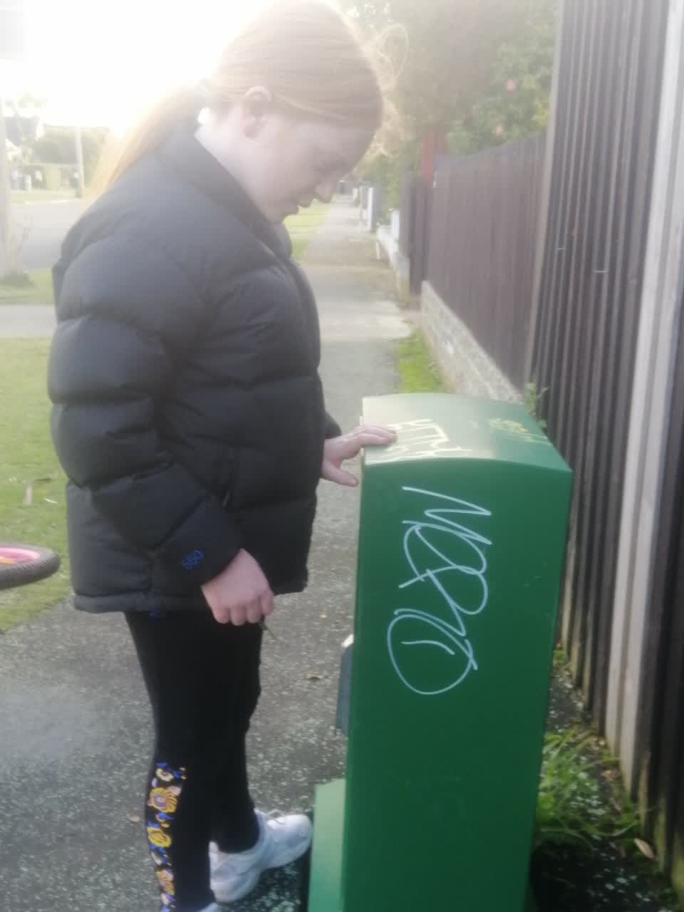 The photograph attached to this graffiti report