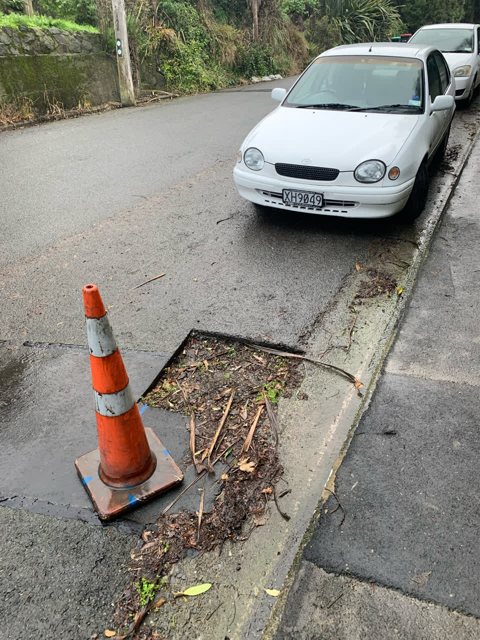 The photograph attached to this roading/streets report