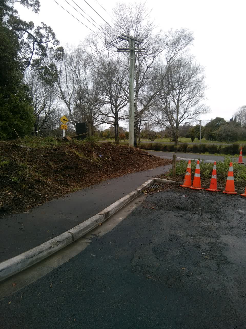 The photograph attached to this roading/streets report