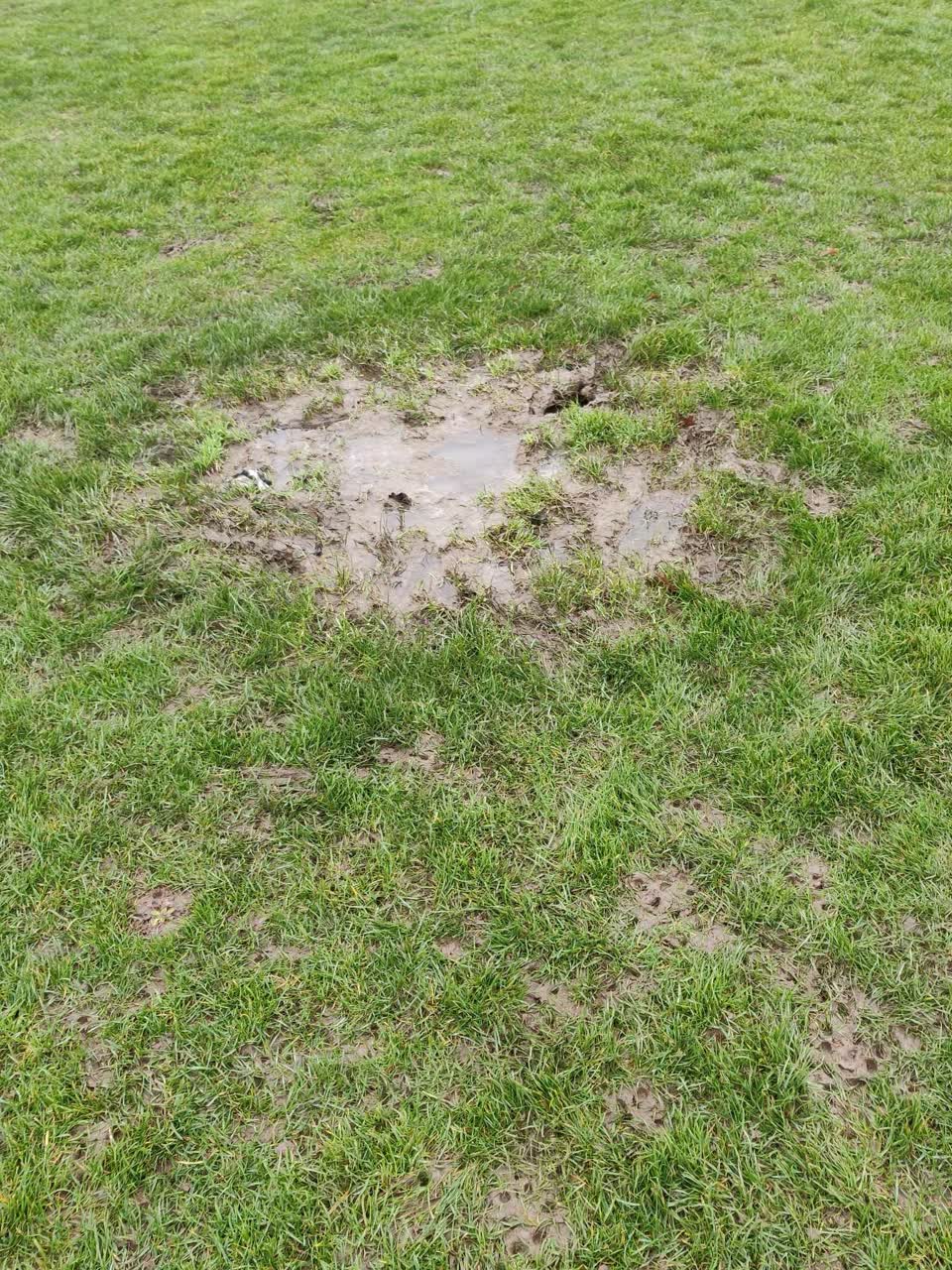 The photograph attached to this parks report