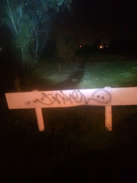 Graffiti, a report photo