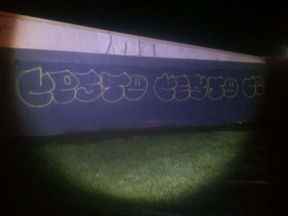 The photograph attached to this graffiti report