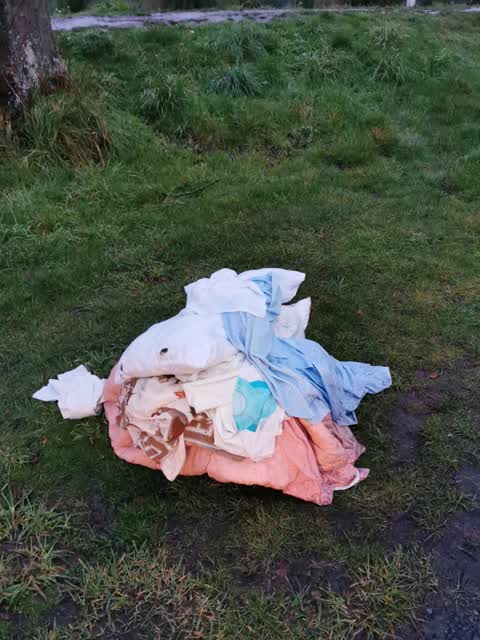 Rubbish/Recycling — a report photo