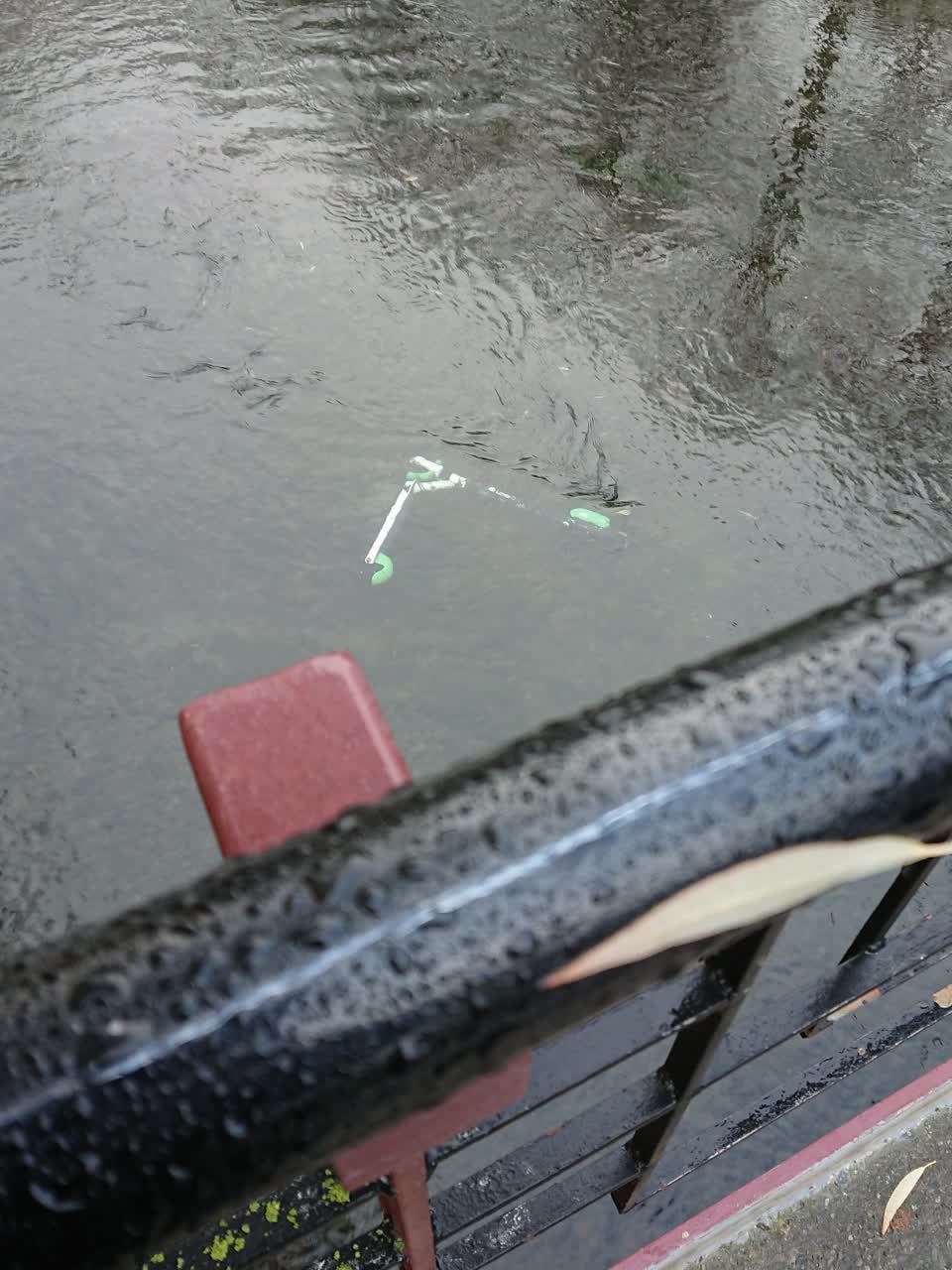 The photograph attached to this parks report