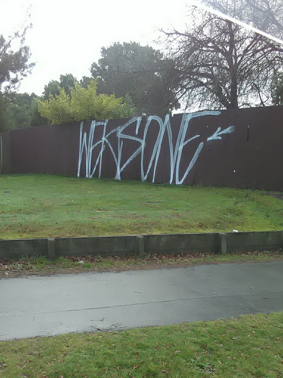 The photograph attached to this graffiti report